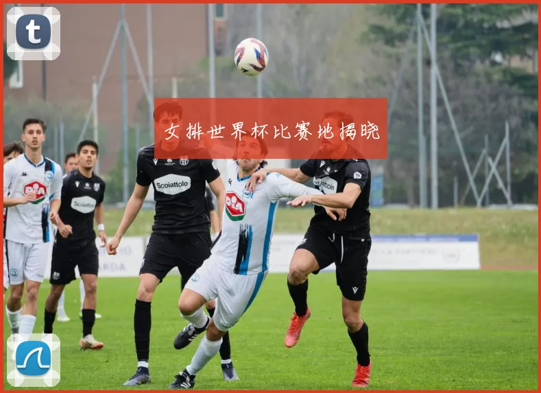 女排世界杯比赛地揭晓