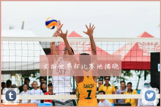 女排世界杯比赛地揭晓