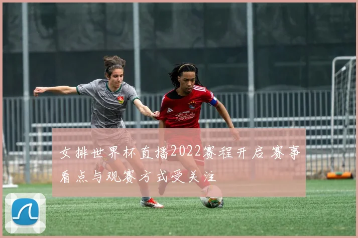 女排世界杯直播2022赛程开启 赛事看点与观赛方式受关注