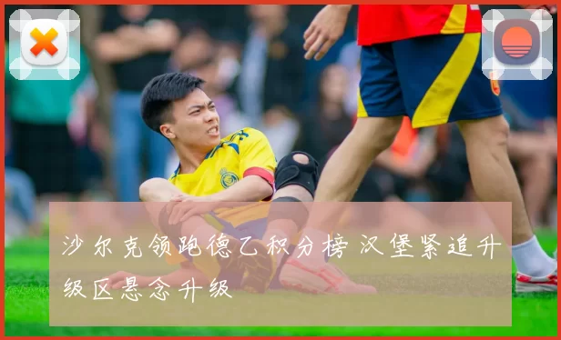 沙尔克领跑德乙积分榜 汉堡紧追升级区悬念升级