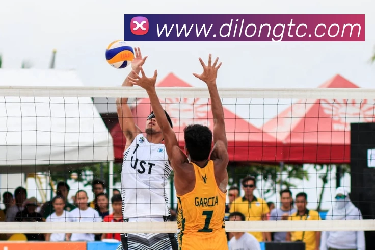 滚球官网app平台生态图